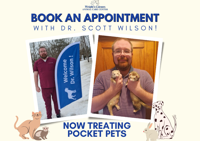 Carousel Slide 2: Book a Pocket Pet Appointment Today!